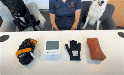Soli{0}}pa-apmācība par Syrebo E12 Glove (no 1. līdz 3. līmenim)